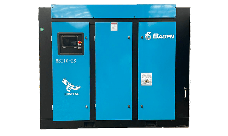 BAOFN RS110-2S