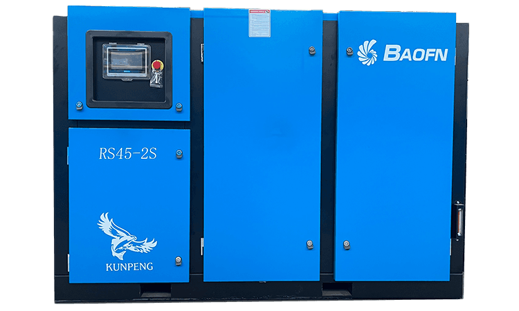 BAOFN RS45-2S