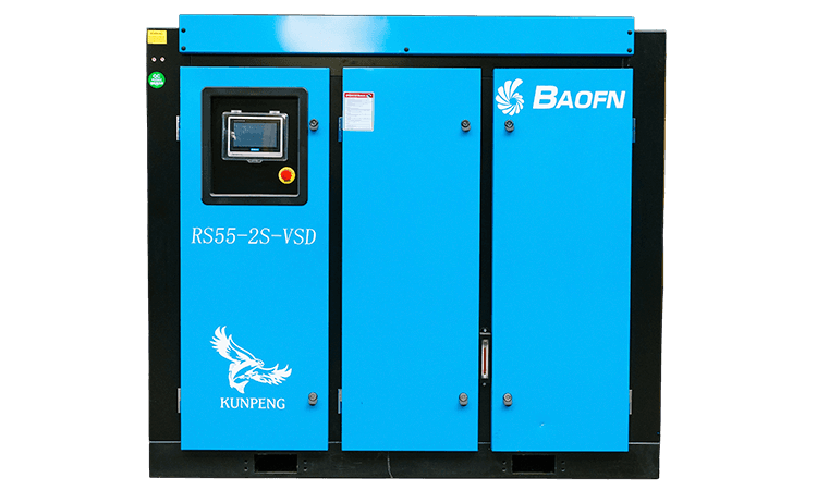 BAOFN RS55-2S-VSD