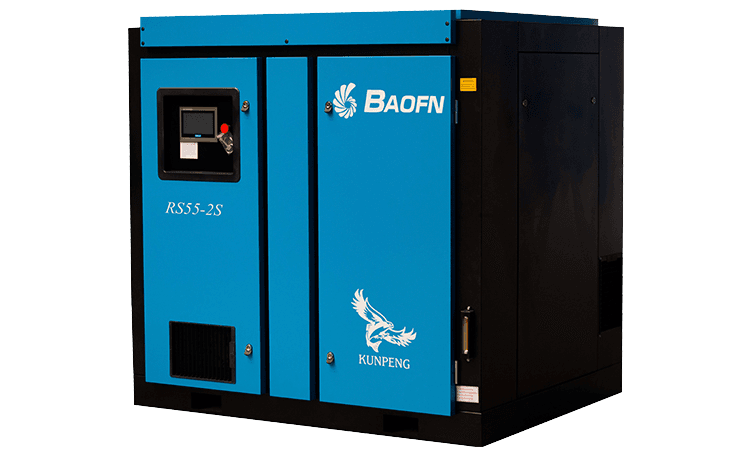 BAOFN RS55-2S