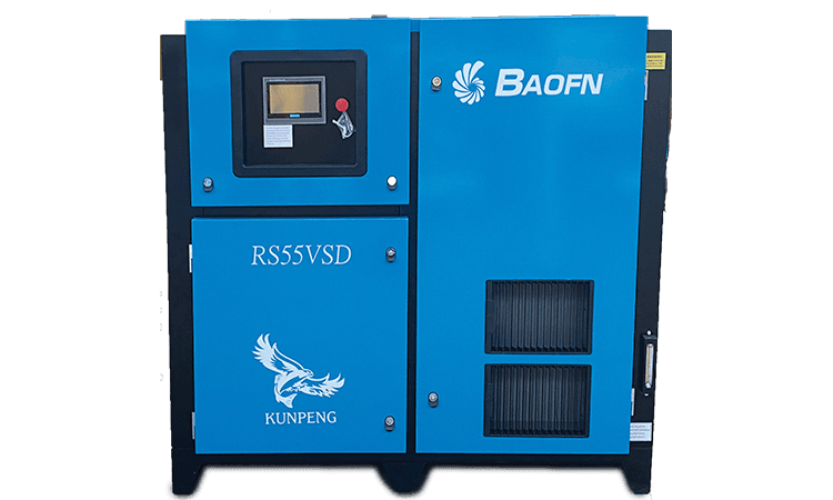 BAOFN RS55VSD