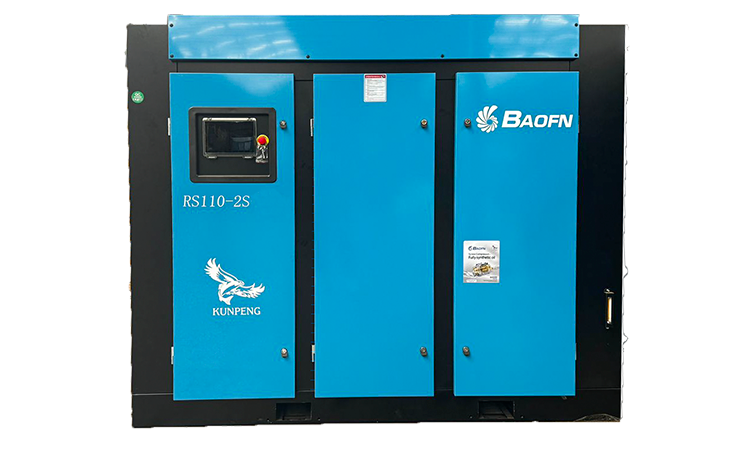 BAOFN RS110-2S