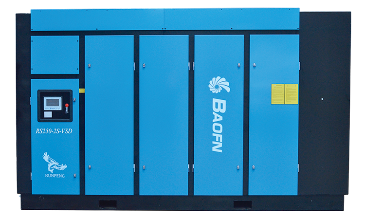 BAOFN RS250-2S-VSD