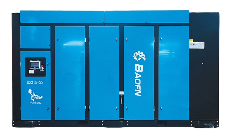 BAOFN RS315-2S