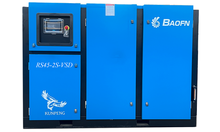 BAOFN RS45-2S-VSD