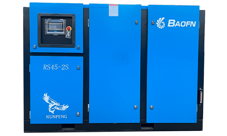 BAOFN RS45-2S