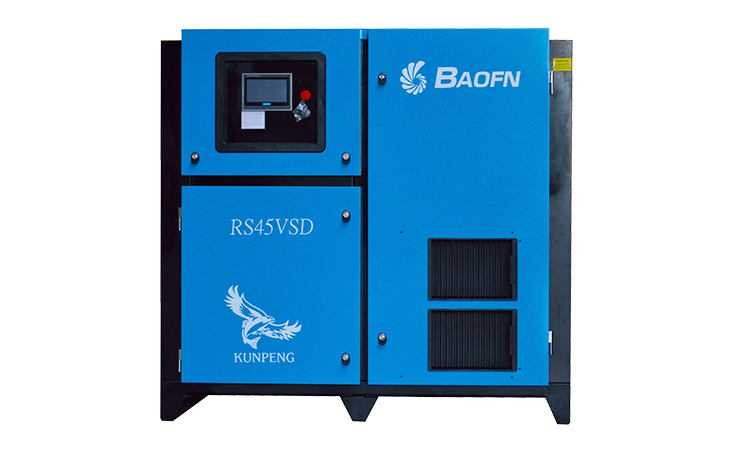 BAOFN RS45VSD