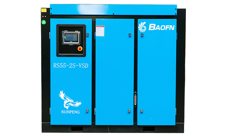 BAOFN RS55-2S-VSD