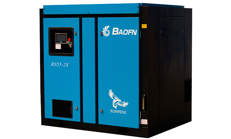 BAOFN RS55-2S
