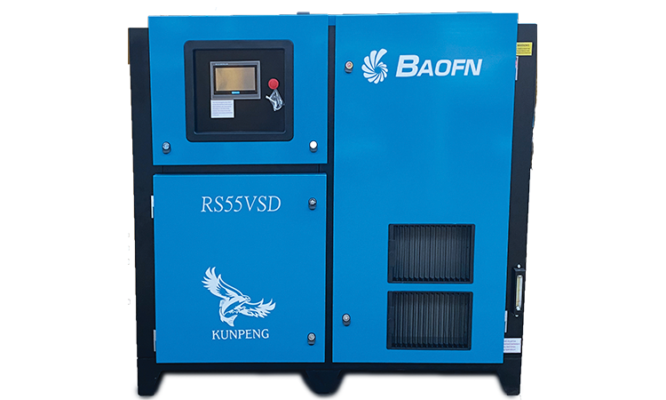 BAOFN RS55VSD